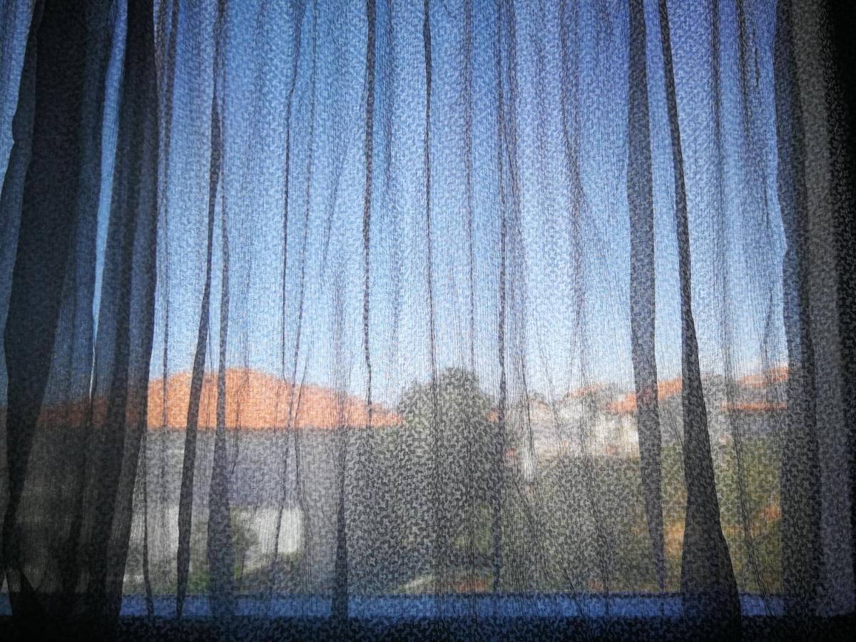 Apartment Brcic Biograd Na Moru Luaran gambar