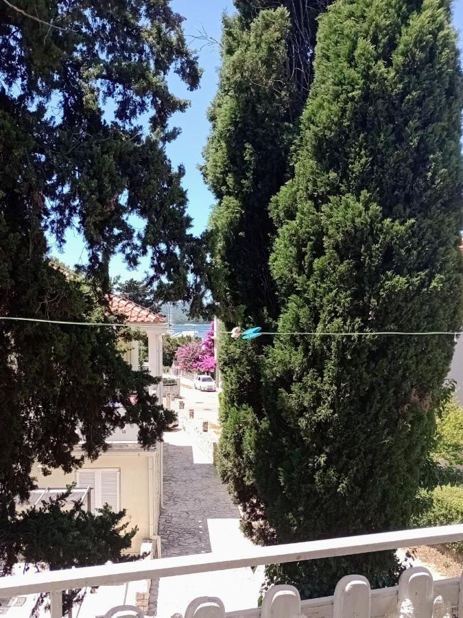 Apartment Brcic Biograd Na Moru Luaran gambar